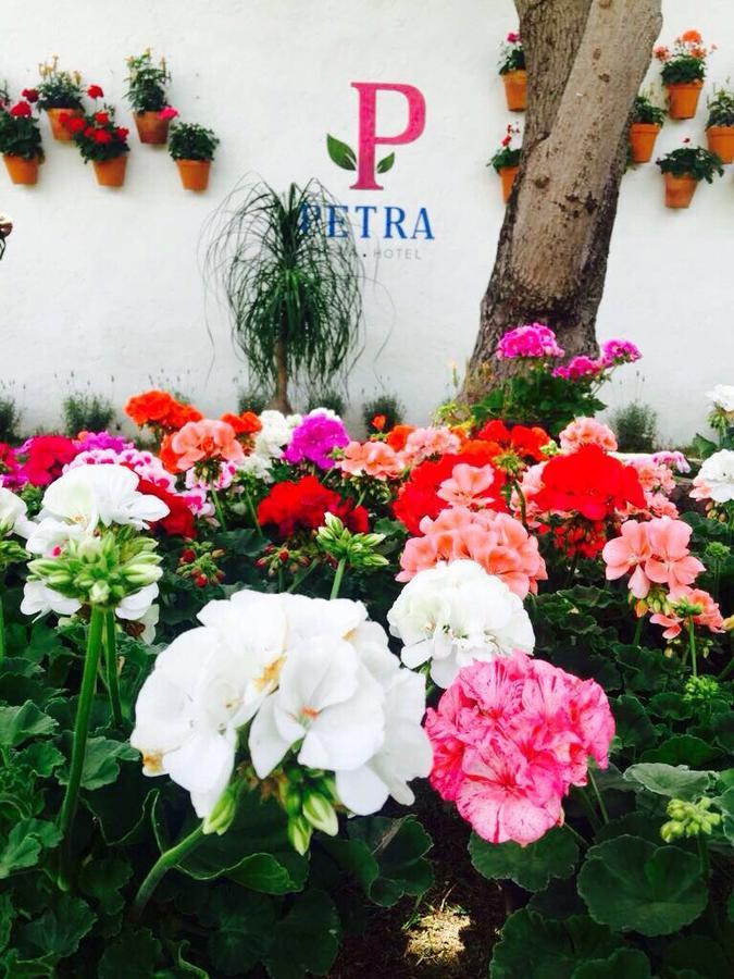 Hotel Petra San Miguel de Allende Dış mekan fotoğraf